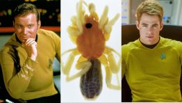 Newly Discovered Spider Species Named After Classic STAR TREK Characters
